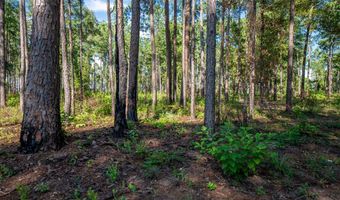 221 Ac Crestview Rd, Arlington, GA 39813