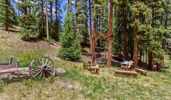 16 Bemrose Trl, Blue River, CO 80424