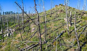100 Canyon Gulch Rd, Bellvue, CO 80512