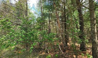 Lot 303 Cypress Drive, Arkdale, WI 54613