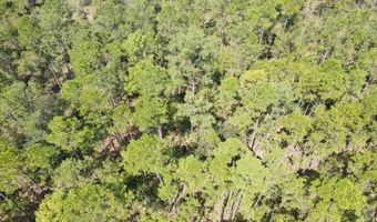 21947 NW Isoletta Rd, Altha, FL 32421