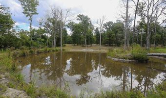 28 Mason, Amity, AR 71921