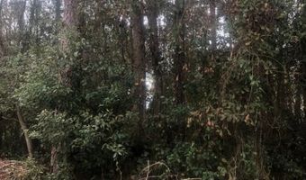 192 Sawyer Ln, Apalachicola, FL 32320