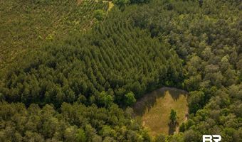 Flowers Road, Bay Minette, AL 36507