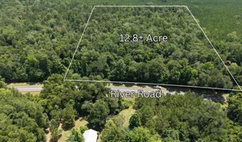 River Rd, Bascom, FL 32423
