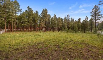 11 Whitetail Rd, Alpine, AZ 85920