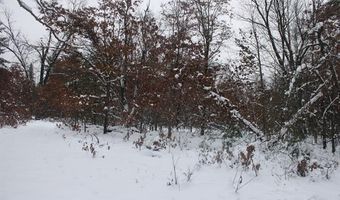 VL Good. Road, Alger, MI 48610