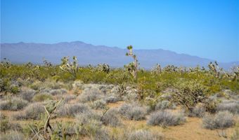 2641 S Javelina Rd, Yucca, AZ 86438