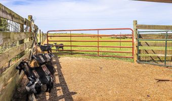 9466 Clarks Mill Rd, Avera, GA 30803
