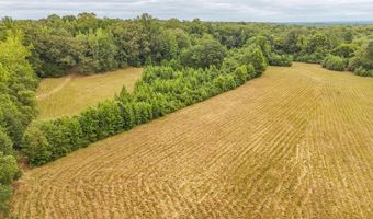0 SEATON, Adamsville, TN 38310