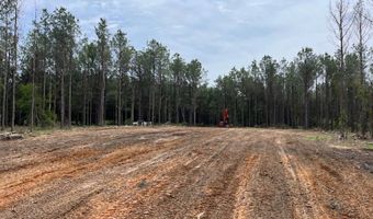 19 43 Big Rocks Rd, Antlers, OK 74523
