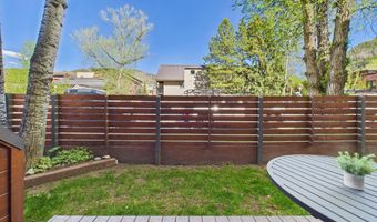 311 S Aspen St 3, Aspen, CO 81611