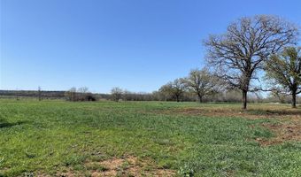 Tract 3 Co Road 323, Carbon, TX 76435