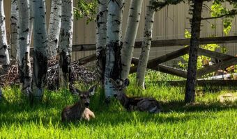 399 E Schroder Dr, Bayfield, CO 81122