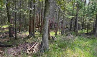TBD Banwell, Alanson, MI 49706