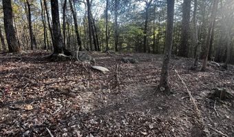 130 Lakeview Walk, Baldwin, GA 30511