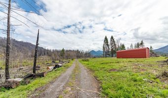 91737 BLUE RIVER RESERVOIR Rd, Blue River, OR 97413