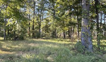 338 Southern Way Lot 61 W/ Boat Slip #3, Arapahoe, NC 28510