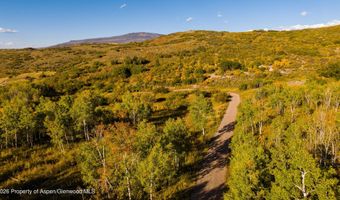 1350 Old Herron Rd, Basalt, CO 81621