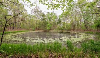 493 County Road 151, Alton, MO 65606