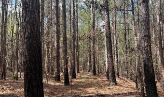274 CR 3301, Booneville, MS 38829