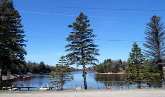 N Forest Lake Drive, Alger, MI 48610