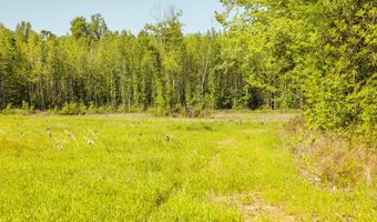 Beech Bluff Road, Beech Bluff, TN 38313
