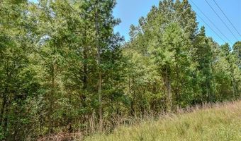 5 N Hall Rd, Antlers, OK 74523