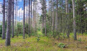 5 6 Acres 16th Ave Lot 3, Arkdale, WI 54613