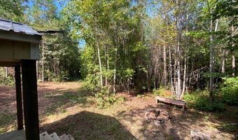 18 62 Ac Squirrell Hollow Rd, Alberta, VA 23821