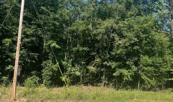 203 Pebble Cove Rd, Abbeville, AL 36310