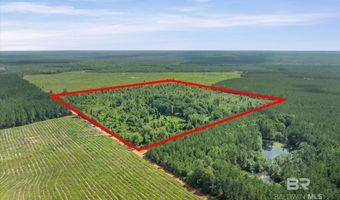 Green Town Road, Bay Minette, AL 36507