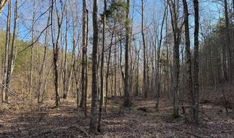 MOUNTAIN CUT RD lot C, Appomattox, VA 24522
