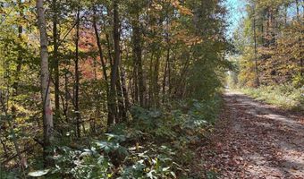 Tbd County Road 12, Akeley, MN 56433