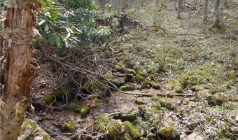 Gentry Farm Road, Aurora, NC 28743