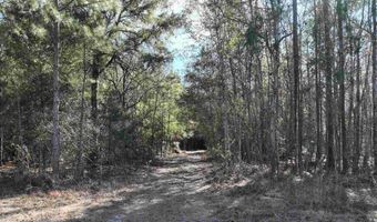 00 Hadwin Rd, Bamberg, SC 29003