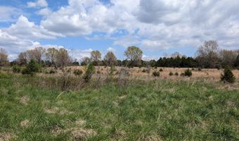 56 Highway, Ash Flat, AR 72513