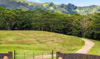 HAUIKI RD, Kapaa, HI 96746