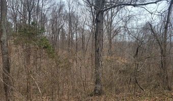 Branch Rd, Big Sandy, TN 38221