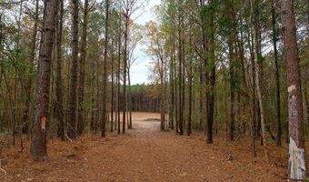 00002 Trickhambridge Rd, Brandon, MS 39042