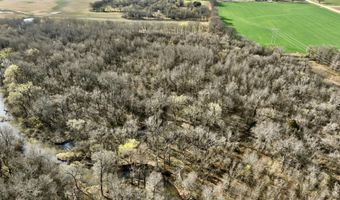0002 CR-290, Asbury, MO 64832