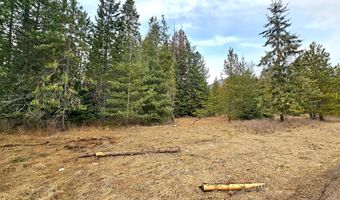 NNA Lightning Creek Rd, Clark Fork, ID 83811