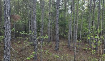 0 SWEETGUM Ln, Lincolnton, GA 30817