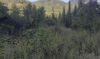 18 Majestic Mountain Rd, Clark Fork, ID 83811