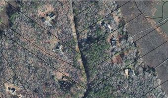 5 1+AC High Bluff Ln, Barhamsville, VA 23011