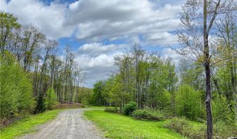 State Route 28 lot # 10, Andes, NY 13731