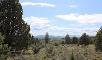 Deer Springs Road, Beatty, OR 97621