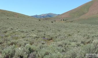1981 Blizzard Mountain Rd, Arco, ID 83213