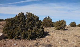 70 County Road 5054, Concho, AZ 85924