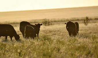 State Highway 214, Adrian, TX 79001